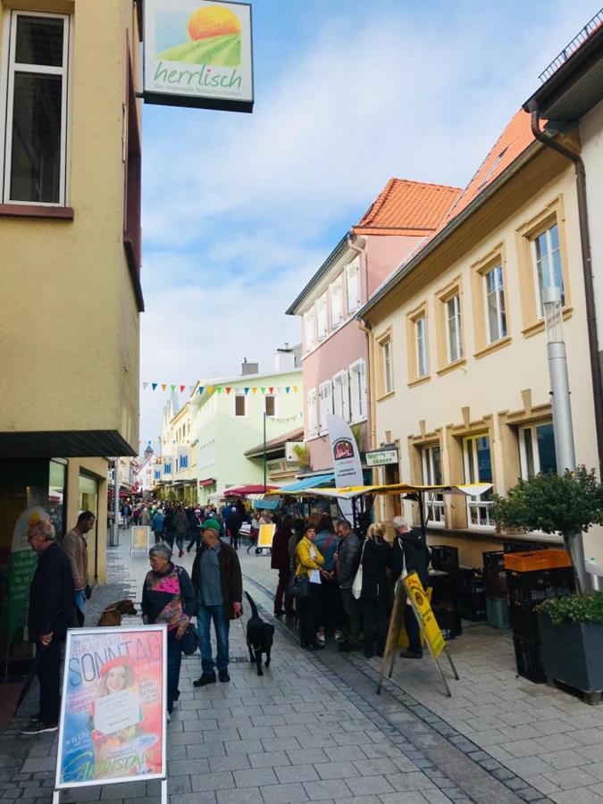 Apartment Boutique-ferienwohnung Im Alten Weinhaus Moser Grunstadt